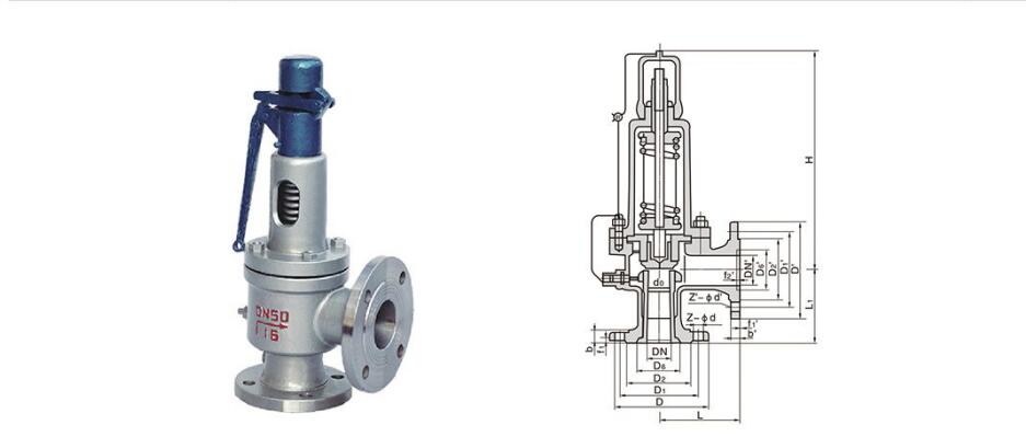 安全閥結(jié)構(gòu)示意圖